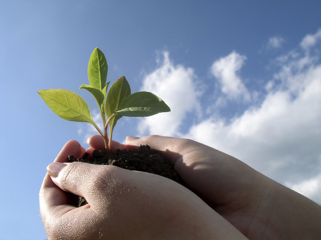 Building Green with Seattle Remodeling